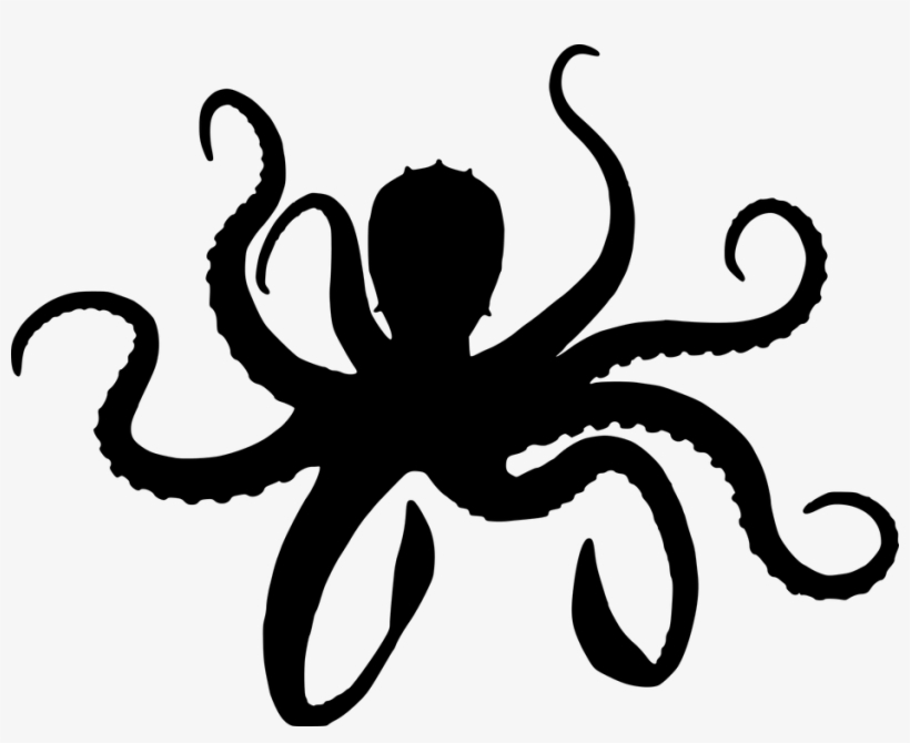 Detail Octopus No Background Nomer 28
