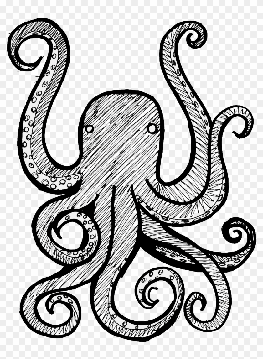 Detail Octopus No Background Nomer 39