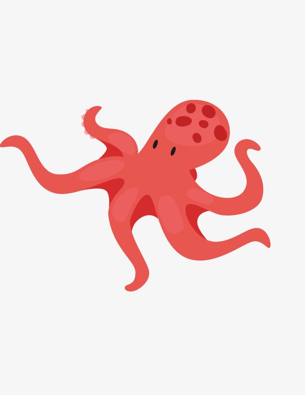 Detail Octopus No Background Nomer 47