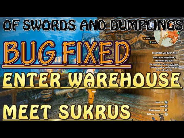 Of Swords And Dumplings Bug - KibrisPDR