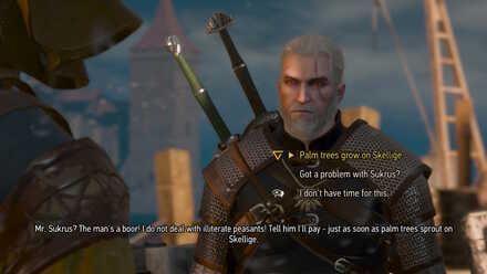 Detail Of Swords And Dumplings Witcher 3 Nomer 23