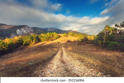 Detail Off Road Background Nomer 3