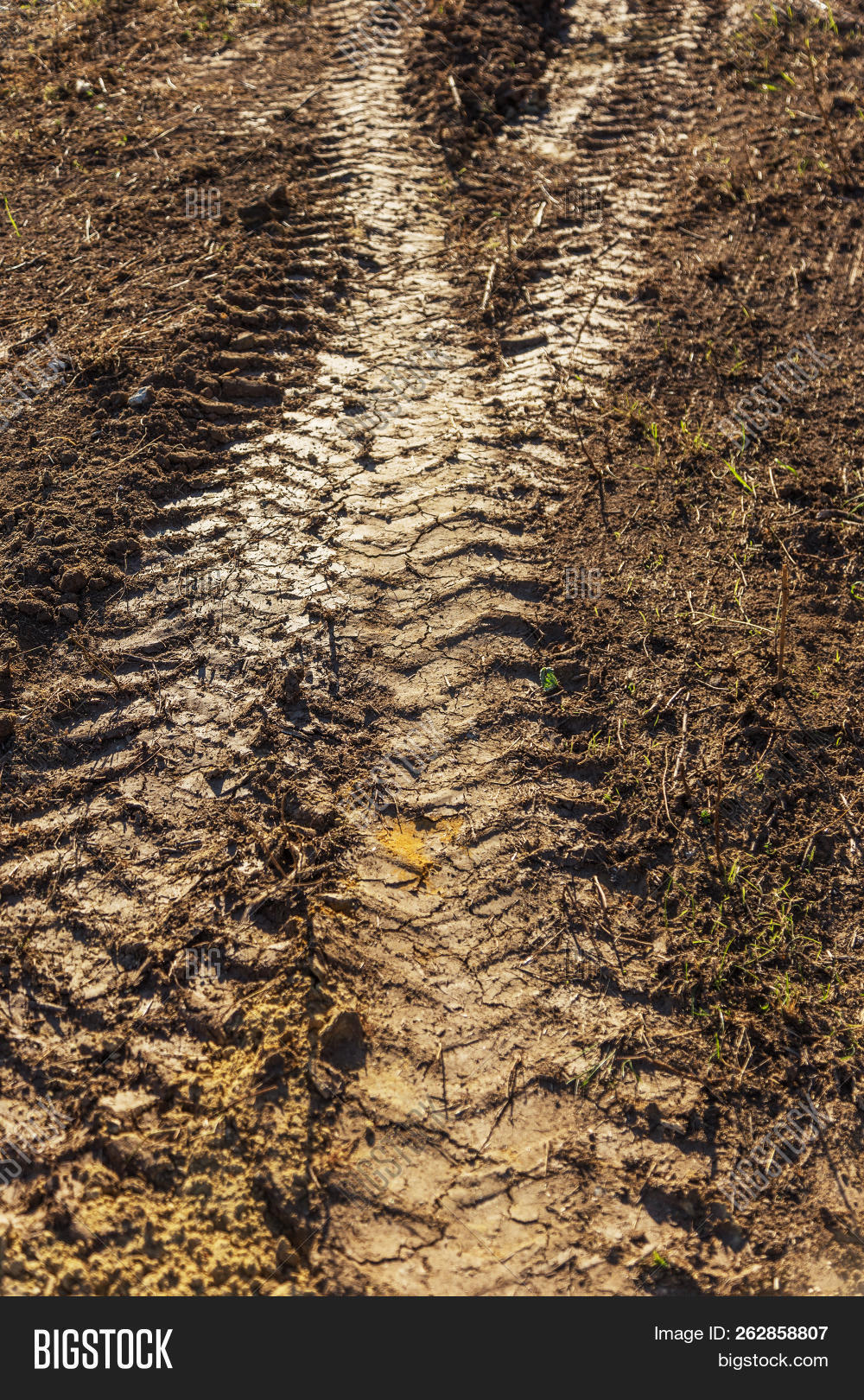 Detail Off Road Background Nomer 47
