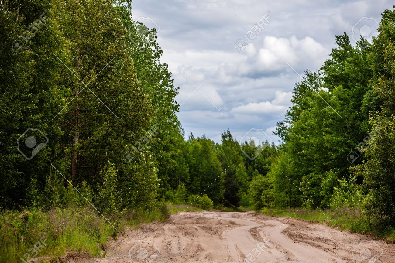 Detail Off Road Background Nomer 48