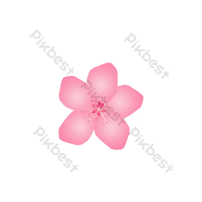 Detail Ok Google Gambar Bunga Sakura Nomer 37