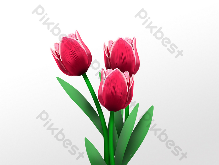 Detail Ok Google Gambar Bunga Tulip Nomer 40