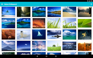 Detail Ok Google Wallpapers Nomer 36