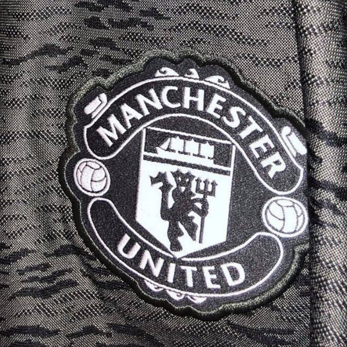 Detail Logo Manchester United 2020 Nomer 13