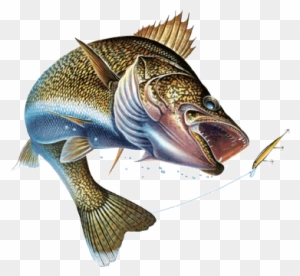 Detail Logo Mancing Hd Nomer 52