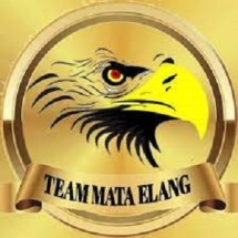 Detail Logo Mata Elang Nomer 4