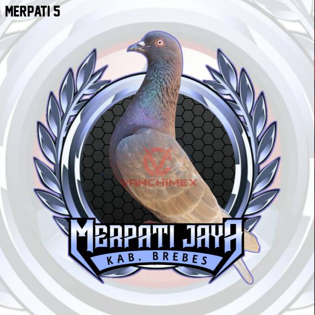 Detail Logo Merpati Balap Keren Nomer 12