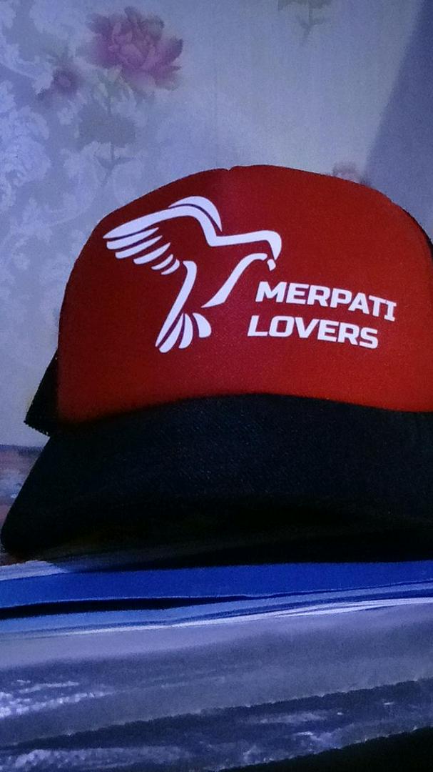 Detail Logo Merpati Lovers Nomer 30