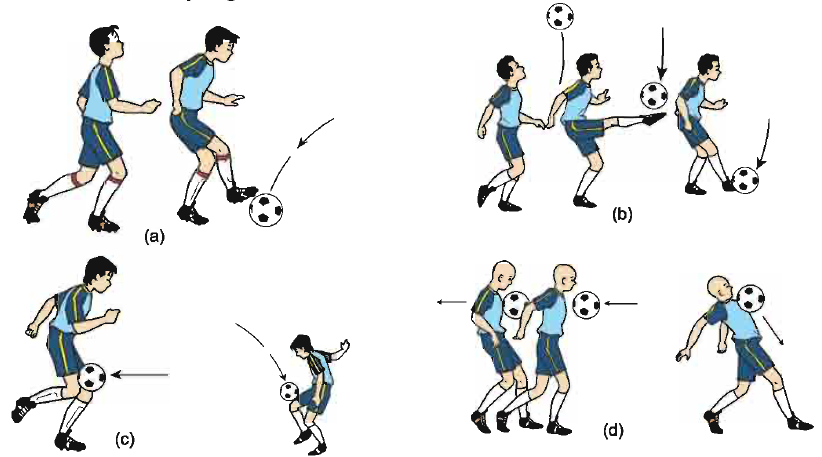 Detail Olahraga Sepak Bola Animasi Nomer 47