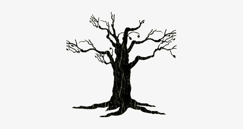 Detail Old Tree Png Nomer 21