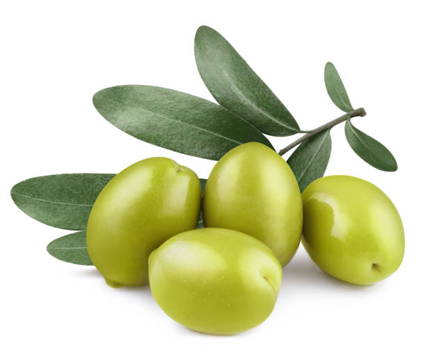 Olive Images - KibrisPDR