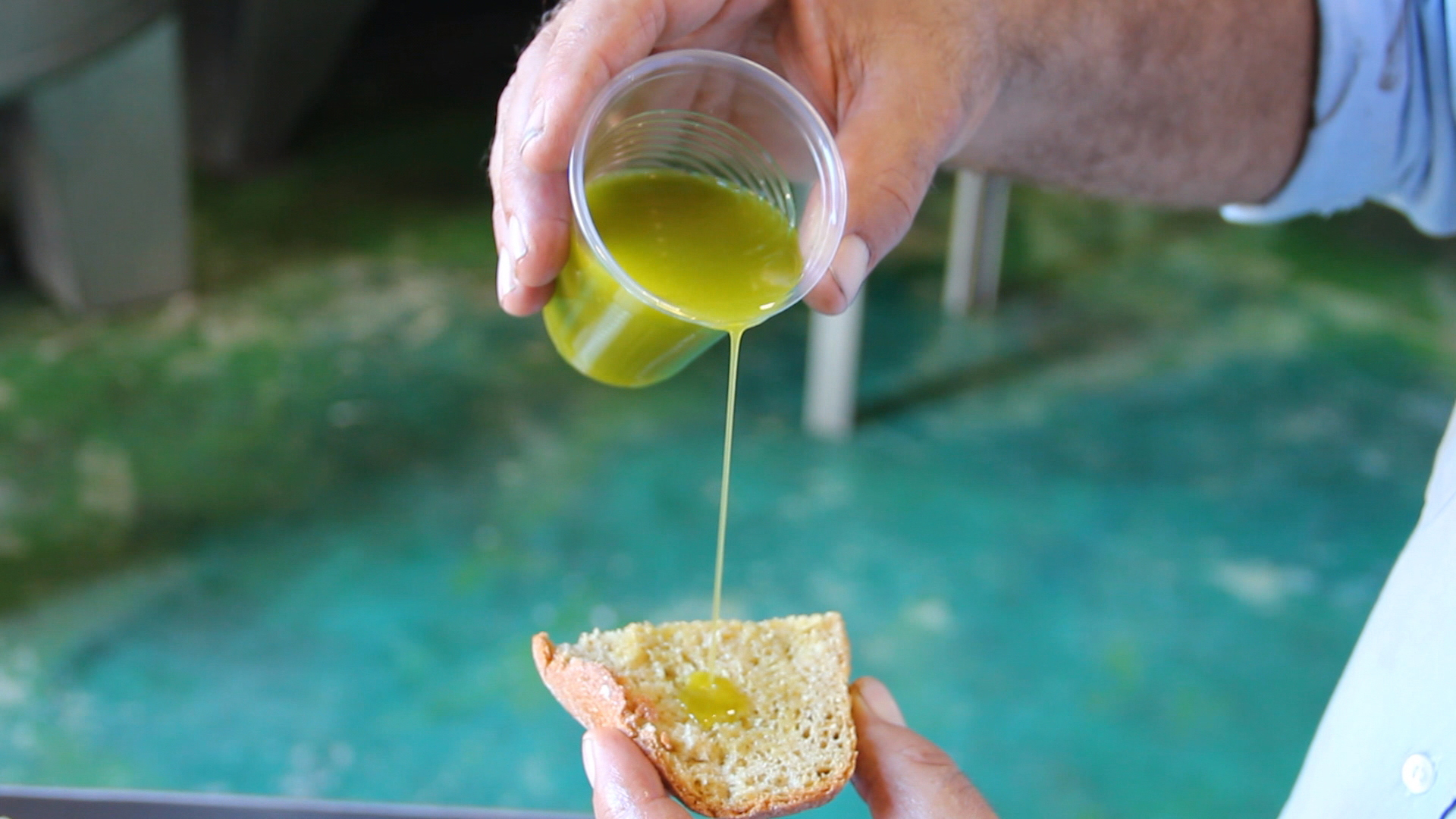 Detail Olive Oil Pic Nomer 43