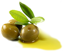 Detail Olive Oil Png Nomer 12
