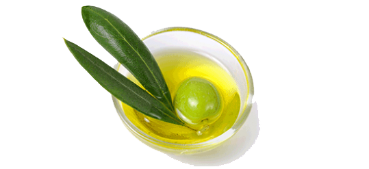 Detail Olive Oil Png Nomer 25