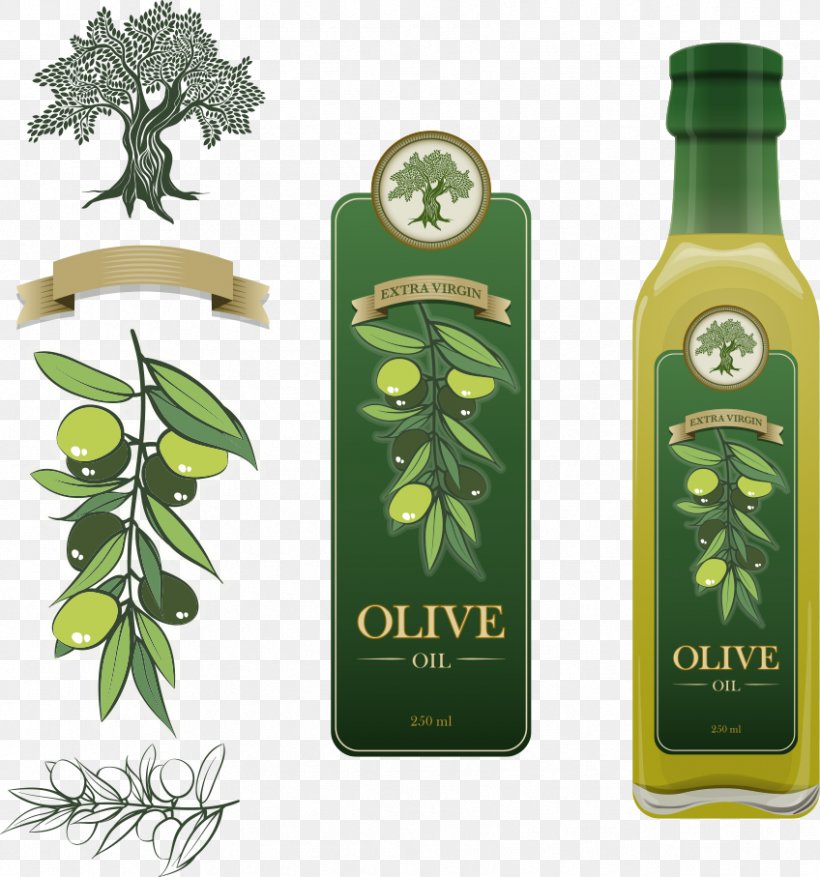 Detail Olive Oil Png Nomer 50