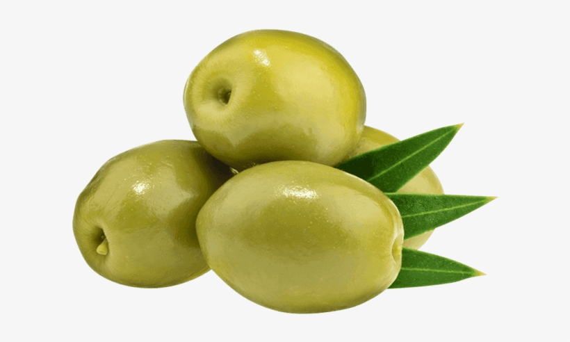 Detail Olive Png Nomer 12