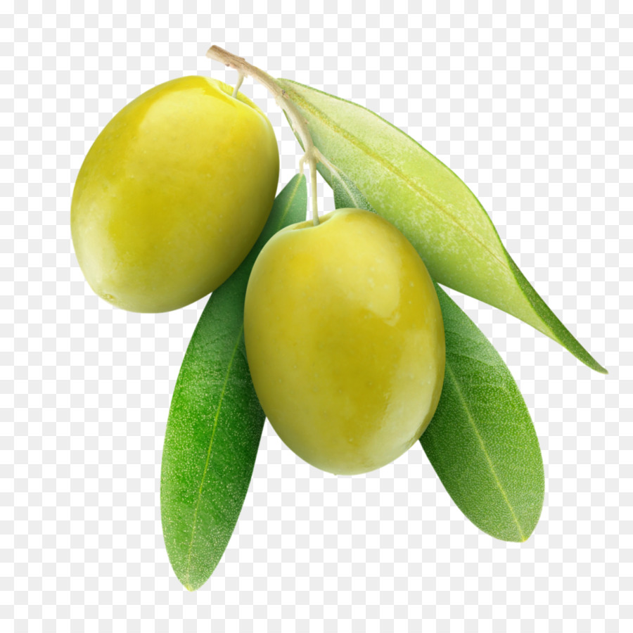 Detail Olive Png Nomer 15