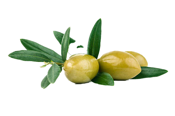 Detail Olive Png Nomer 25