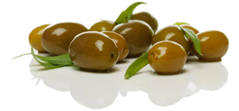 Detail Olive Png Nomer 37