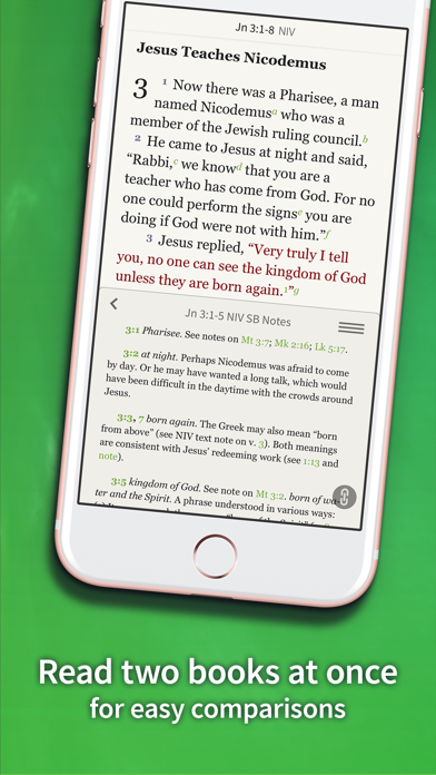 Detail Olive Tree Bible Free Download For Pc Nomer 31