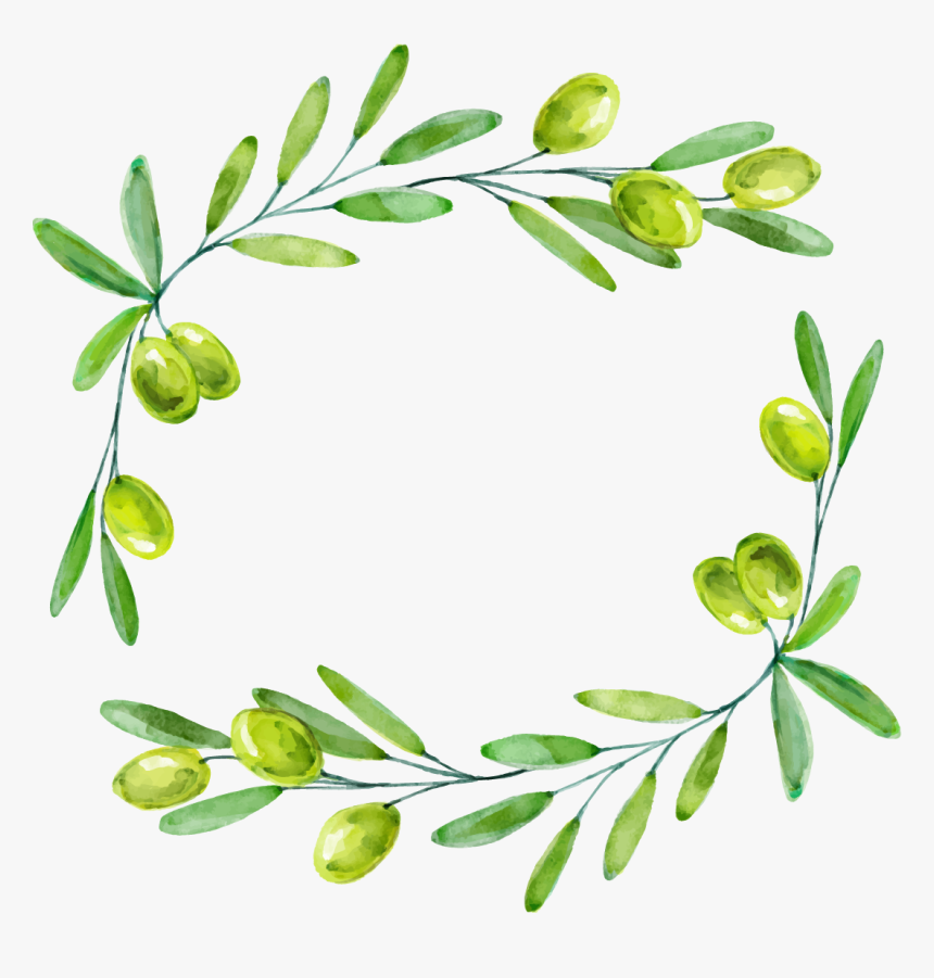 Detail Olive Tree Transparent Background Nomer 25