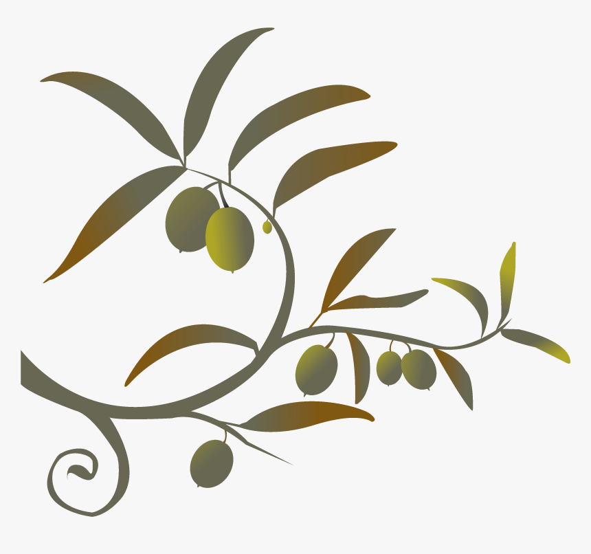 Detail Olive Tree Transparent Background Nomer 46