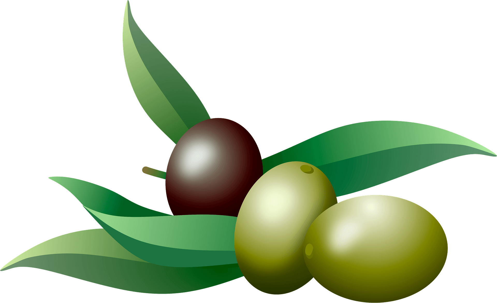 Detail Olives Clipart Nomer 17