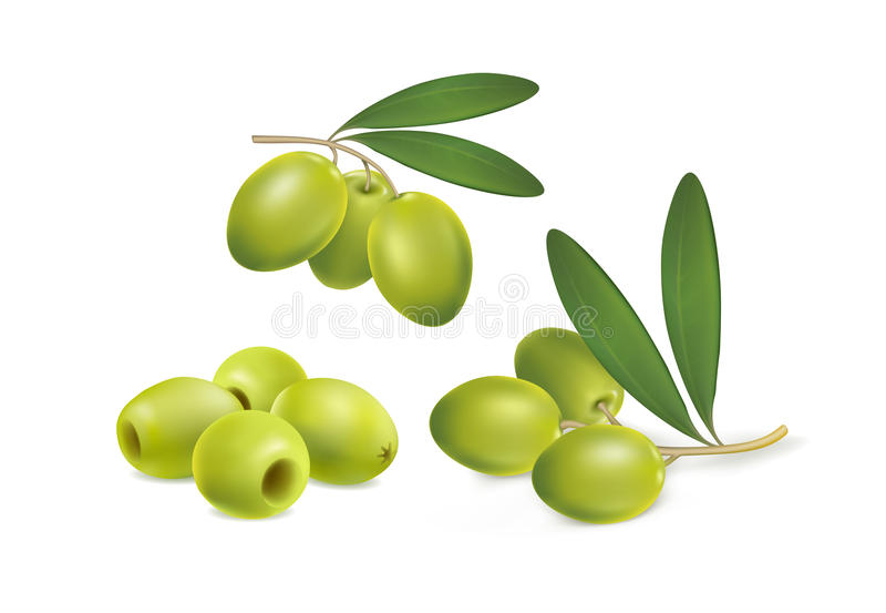 Detail Olives Clipart Nomer 29