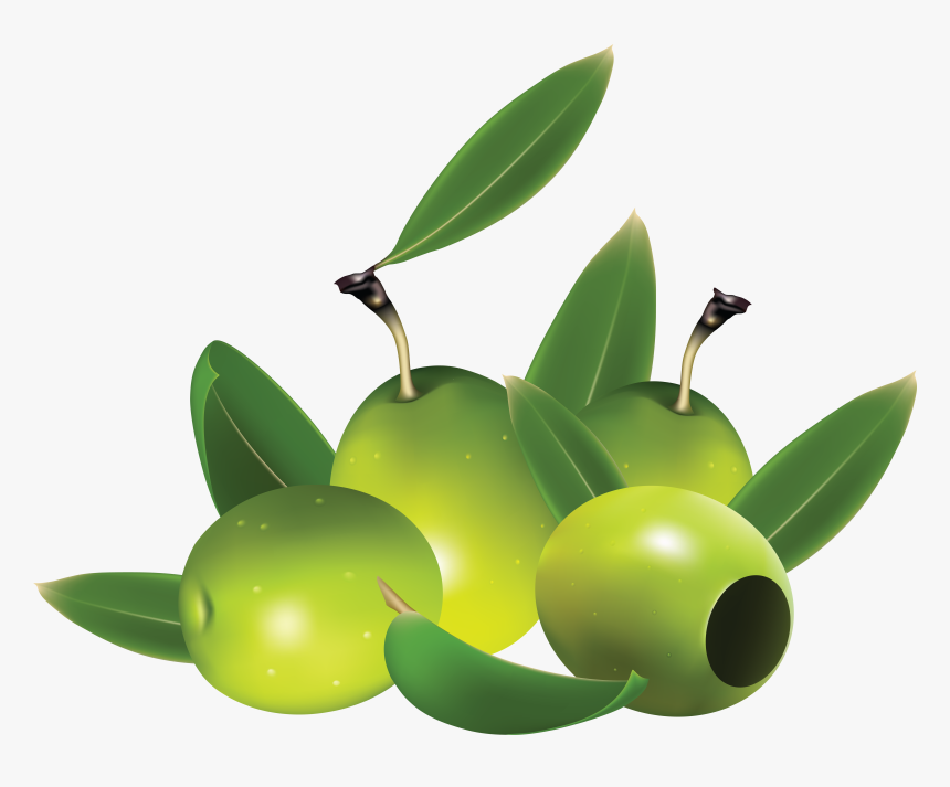 Detail Olives Clipart Nomer 33