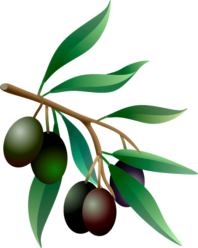 Detail Olives Clipart Nomer 35