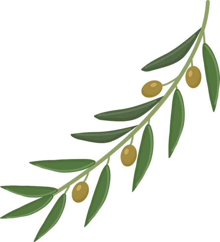 Detail Olives Clipart Nomer 37