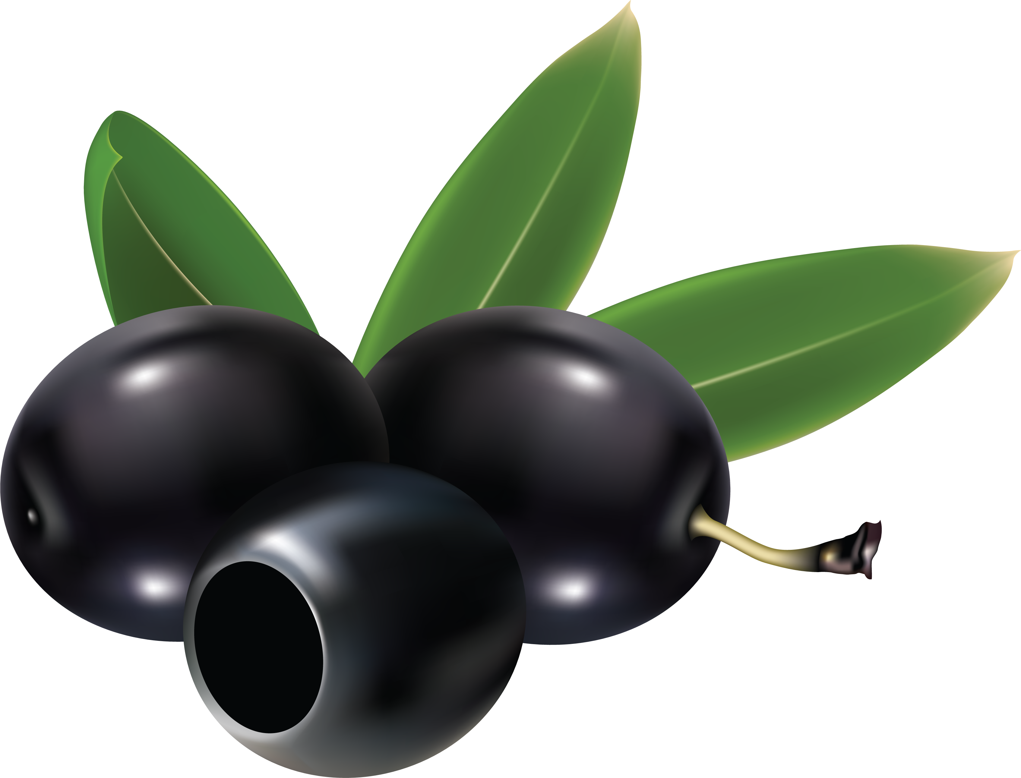 Detail Olives Clipart Nomer 4