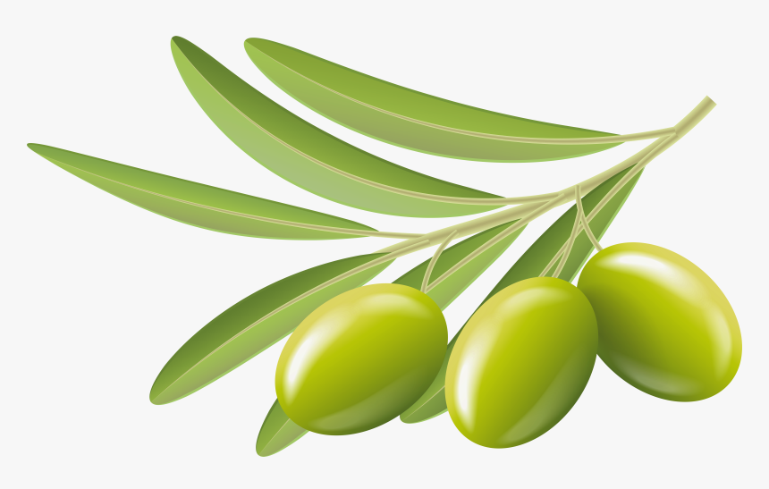 Detail Olives Clipart Nomer 5