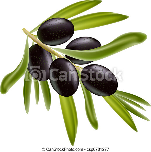 Detail Olives Clipart Nomer 47