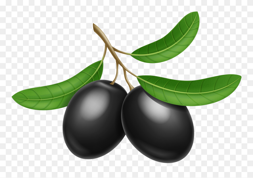 Detail Olives Clipart Nomer 6