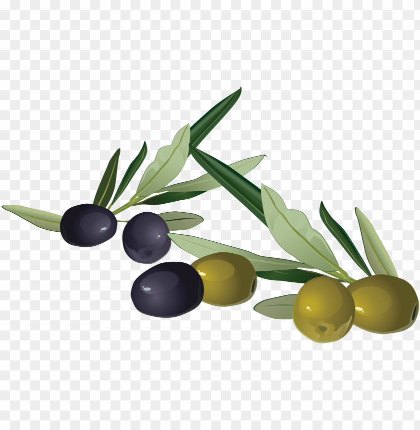 Detail Olives Clipart Nomer 8