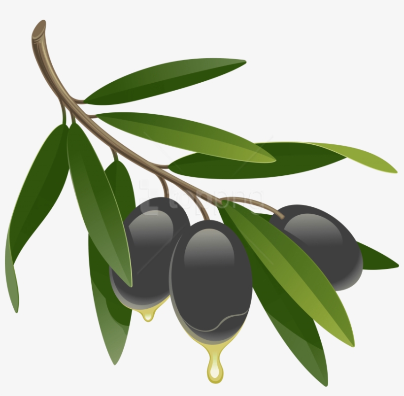 Detail Olives Clipart Nomer 9