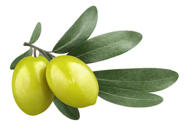 Detail Olives Images Nomer 12