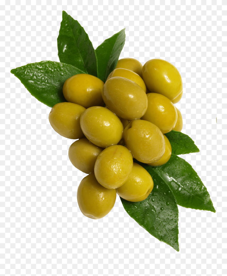 Detail Olives Png Nomer 19