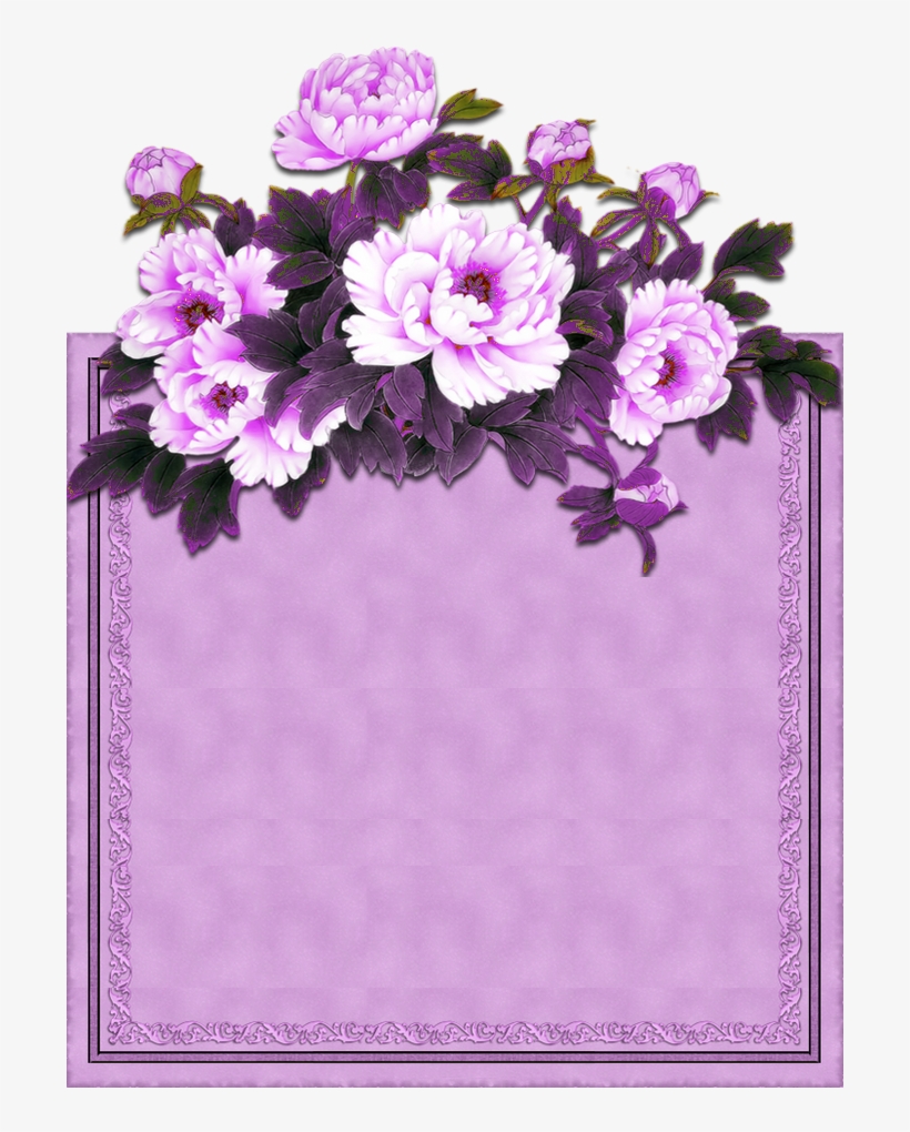 Detail Olshop Background Nomer 6