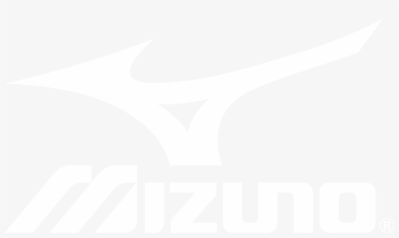 Detail Logo Mizuno Png Nomer 17