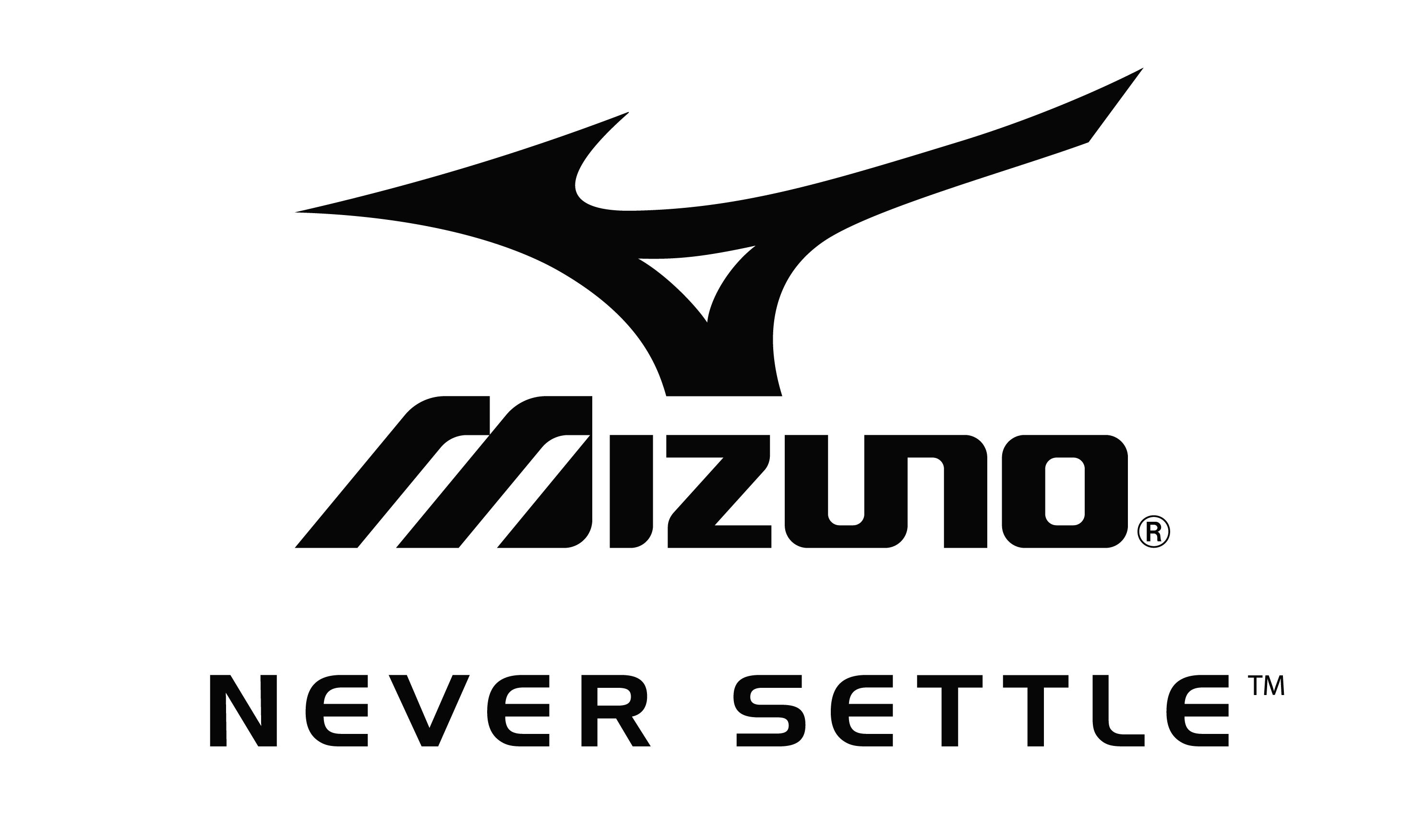 Detail Logo Mizuno Png Nomer 31