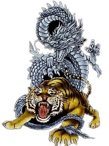 Logo Naga Dan Harimau - KibrisPDR