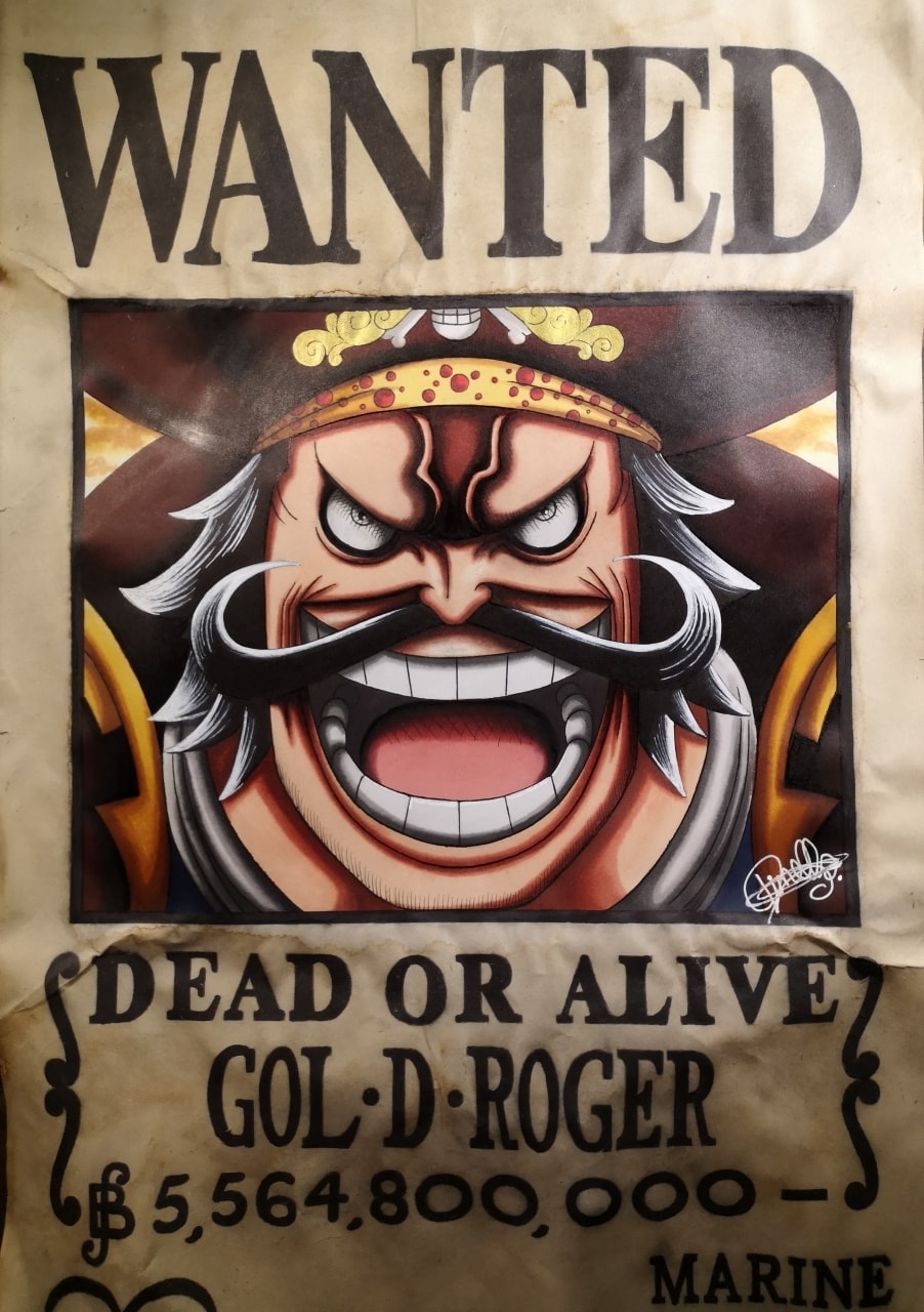 Detail One Piece Wanted Poster Hd Nomer 16