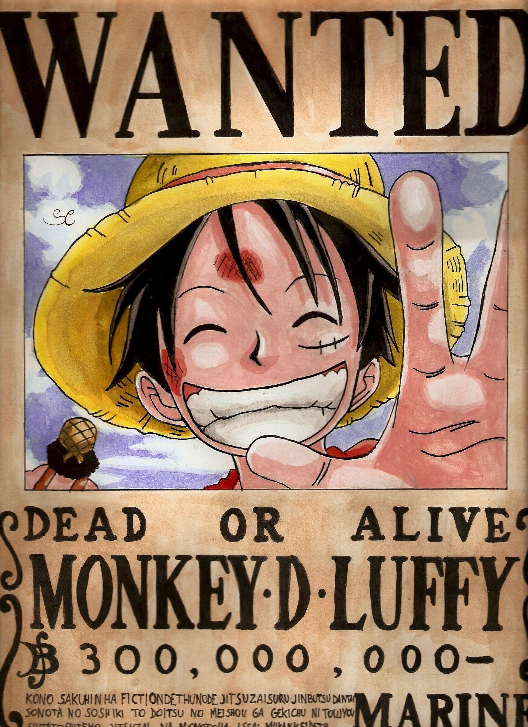 Detail One Piece Wanted Poster Hd Nomer 31