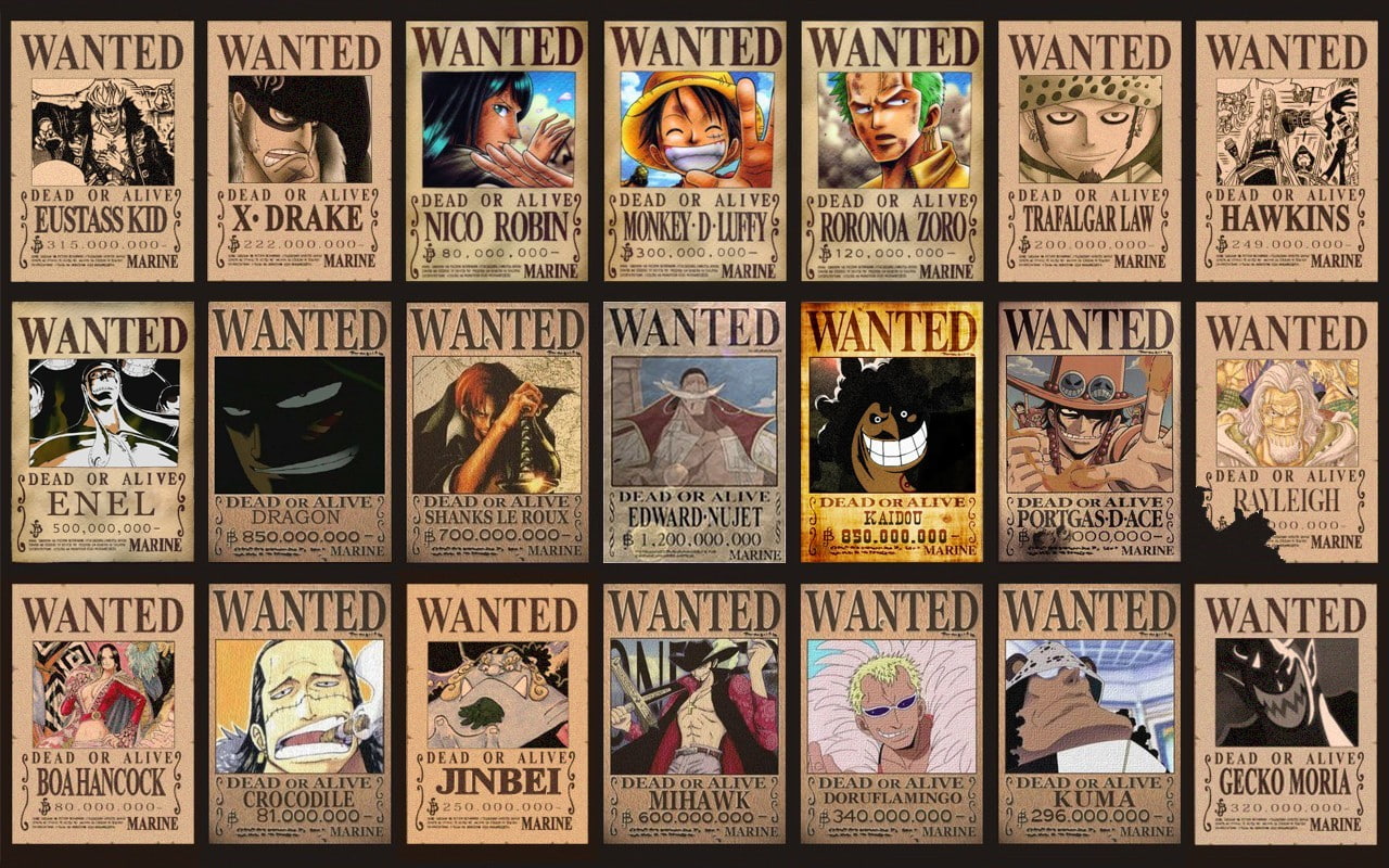 Detail One Piece Wanted Poster Hd Nomer 32